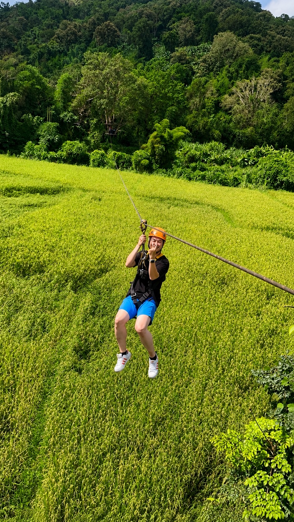 Zipline over green rice fields in Chiang Mai